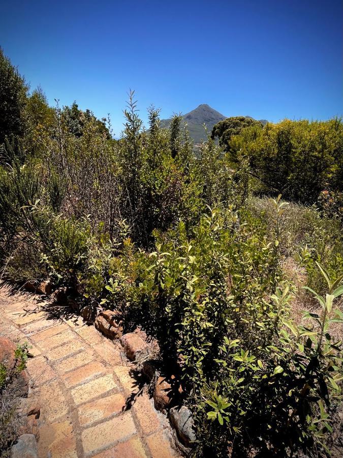 Windrose, Noordhoek, Sensationeller Meerblick Cape Town Exterior foto