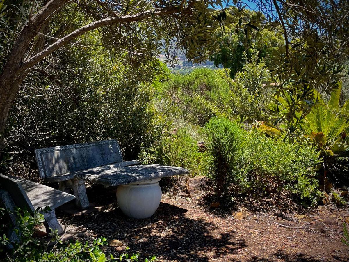 Windrose, Noordhoek, Sensationeller Meerblick Cape Town Exterior foto