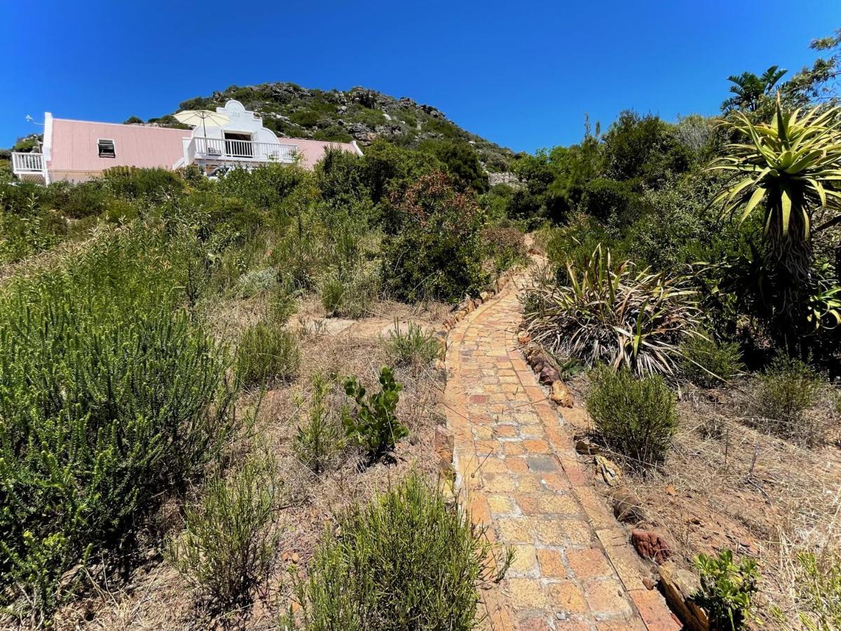 Windrose, Noordhoek, Sensationeller Meerblick Cape Town Exterior foto